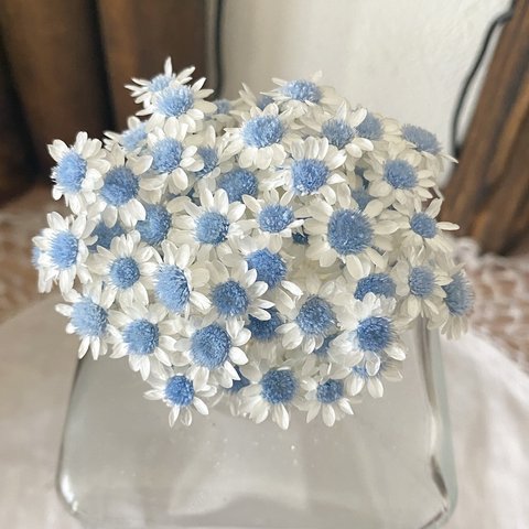 スターフラワーブロッサムアレンジ加工ホワイト淡ブルー色30輪販売❣️ハンドメイド花材カラードライフラワー