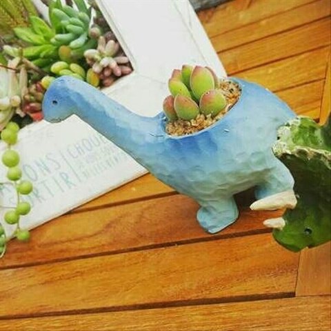 【再再再再販】オシャカワな恐竜のサボテンor多肉植物の鉢植え(blue)  ブラキオサウルス