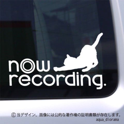 NOW RECORDING/録画中ステッカー:猫デザインWH