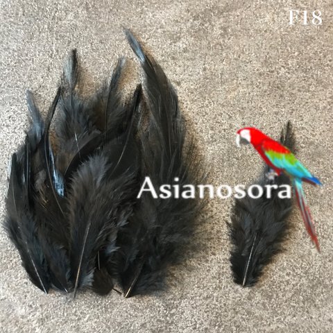 再入荷【F18 黒】高品質　羽根 10枚 フェザー　ピアス　アクセサリー パーツ 羽　素材　鳥の羽根 鳥 