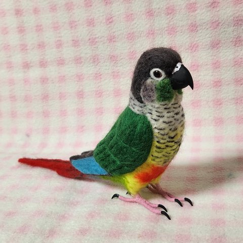 ほぼライフサイズ　ホオミドリアカオウロコインコ　ver.2 Green-cheeked Conure 羊毛インコ 受注作成