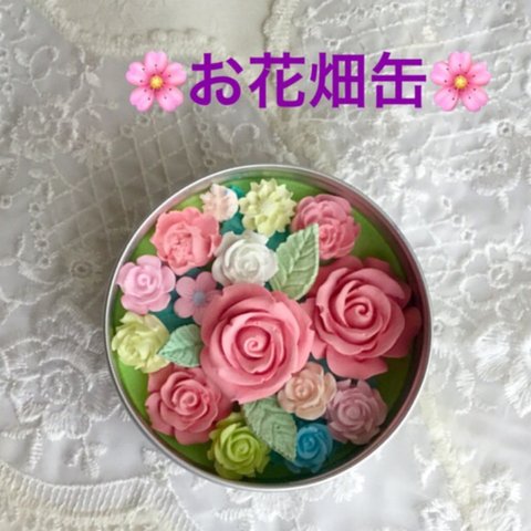 お花畑缶 「春」中サイズ