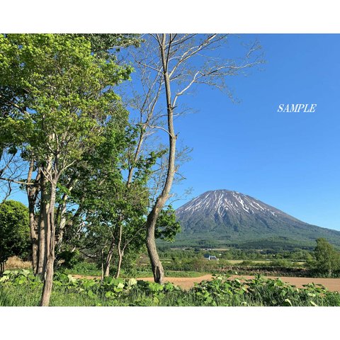 カラー写真 596・北海道./ 羊蹄山