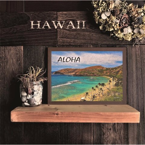 【送料無料】南国の風景☆HAWAII No.532                       フレーム付   A4サイズ