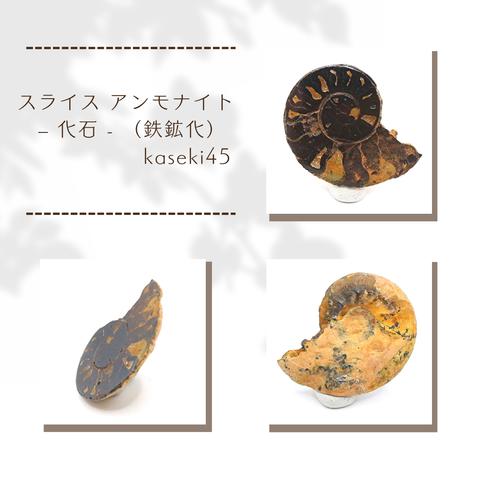 アンモナイト - 化石 - （鉄鉱化） kaseki45