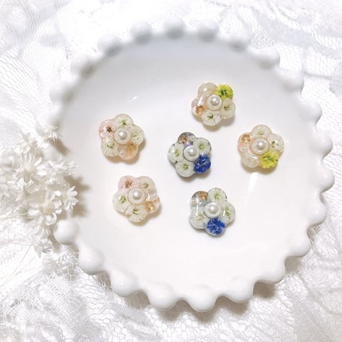 かすみ草×ミニフラワーピアス／イヤリング