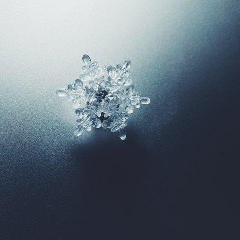 【メルマガ掲載】雪、ついてるよ　no.01 雪の結晶　ピンブローチ　樹枝結晶