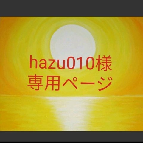 hazu010様専用ページ