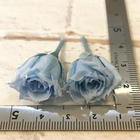 大人気マイクロローズパウダーブルー入荷❣️ハーバリウム花材プリザーブドフラワー薔薇