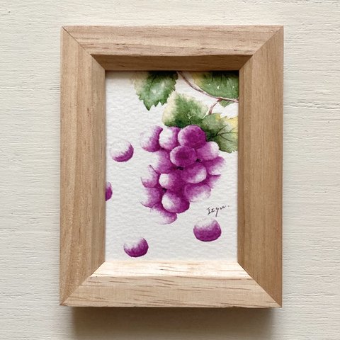 🍇透明水彩画「瑞々しい葡萄」イラストミニ額    秋 プチギフト　ぶどう　ブドウ　秋の味覚　敬老の日🍇