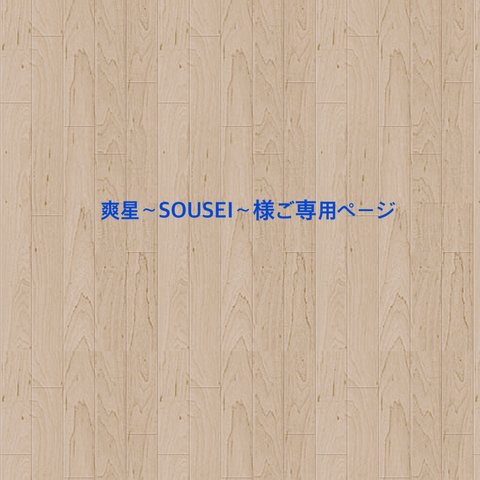 ☆爽星~SOUSEI~様☆オプション用ご専用ページ