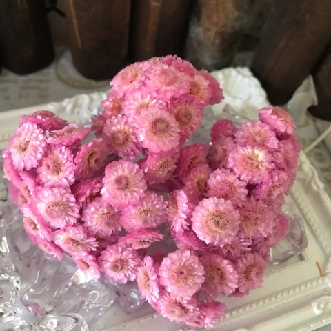東北花材イモーテル小分け❣️カシス♥️ハーバリウム花材プリザーブドフラワー