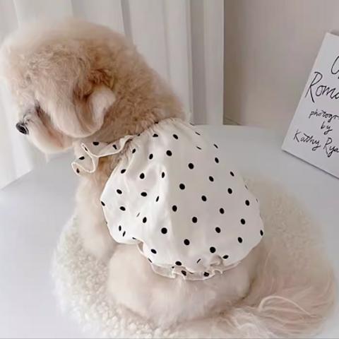 犬の服   夏服 T恤  かわいい 小型犬
