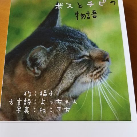 ( 'ω'o[ 写真絵本 ]o ボスとチビの物語