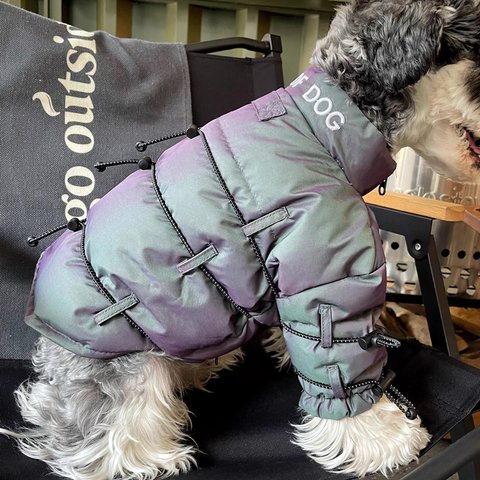 犬服 犬ウェア ペット服 防寒 綺麗黒ダウンジャケット シンプル 冬対策 かわいい 格好いい 黒 ダウンジャケット 冬 日常 散歩