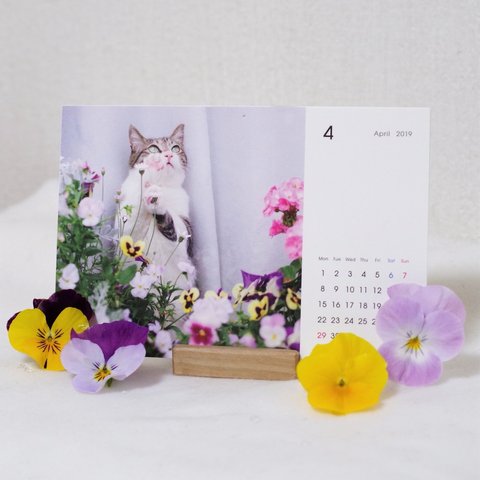保護猫カレンダー☆2019年4月スタート