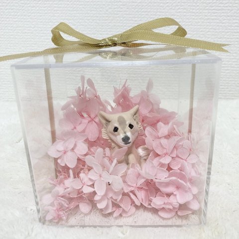 愛犬の記念日に♡オーダーメイド