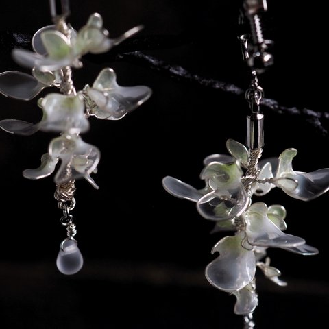 ［春季限定］－耳飾り－真白に映える藤の花