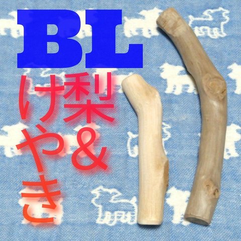 BL.けやき梨の木新品.犬用おもちゃ、小型犬向け歯固め、かじり木