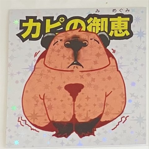 カピバラ写真展ポンシール3種セット