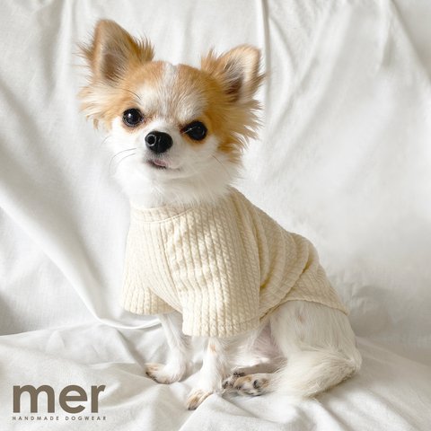 ハンドメイド犬服 Sサイズ 小型犬用 ラグランTシャツ【アイボリー】