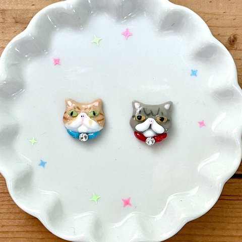 猫のピアス(エキゾチックショートヘア)