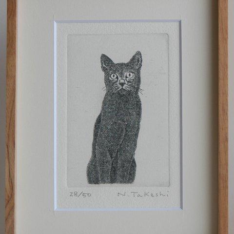 黒い猫・2009/銅版画 (額あり）