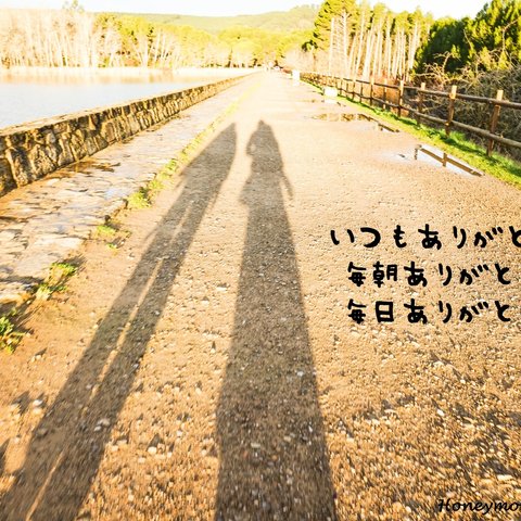 ⑩【2枚組】サンティアゴ巡礼で集めた写真と拾った言葉