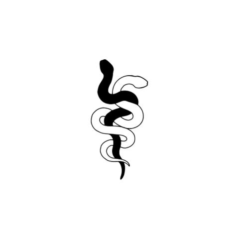 白と黒の蛇【A-45】｜10日間持続 新感覚タトゥーシール 防水 ワンポイント