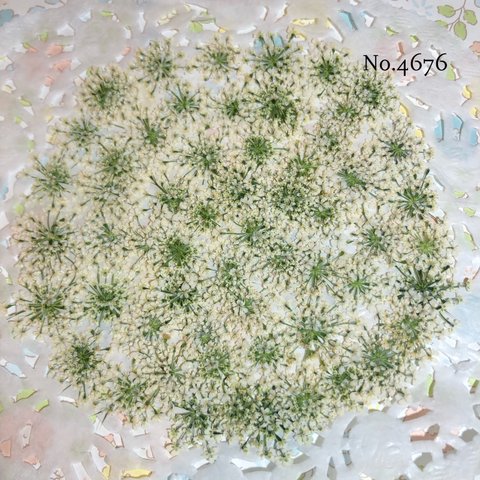 ♡new♡作家様必見♡ ♡レースフラワー 押し花♡