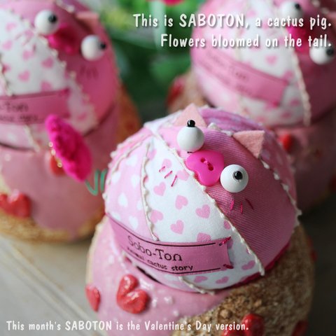 バレンタインなサボテン豚のサボトンハート