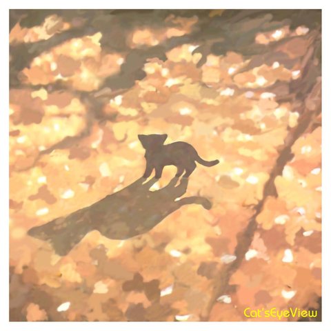 CAT016_野良猫・夕焼け・秋の夕暮れ