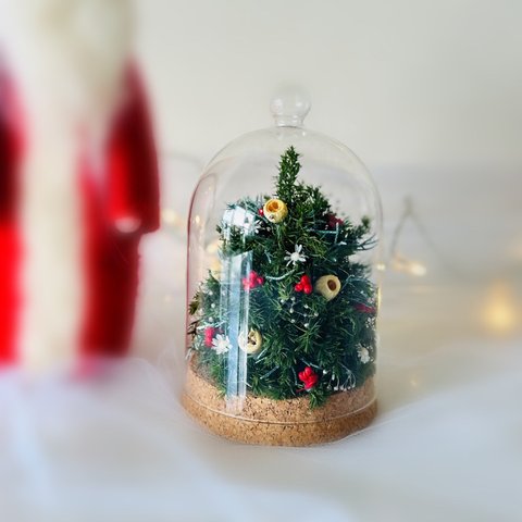 【早割】ガラスドームinクリスマスツリー