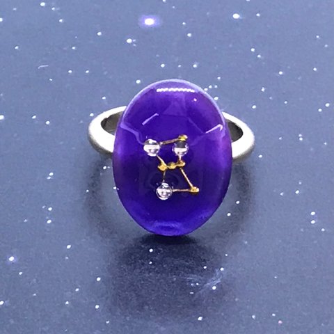 S様へ　パープルの星座リング💜