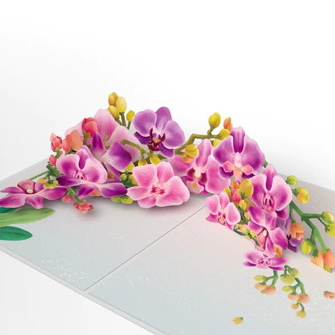 ポップアップグリーティングカード　Watercolor Orchid