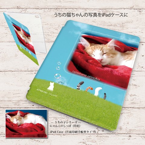 うちの猫ちゃんの写真で作る手帳型iPadケース【バックカバー：ハードタイプ】（片面印刷/カメラ穴あり/はめ込みタイプ）オートスリープ対応