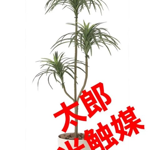 光触媒　人工観葉植物　ウォールグリーン　フェイクグリーン　ユッカ1.3m