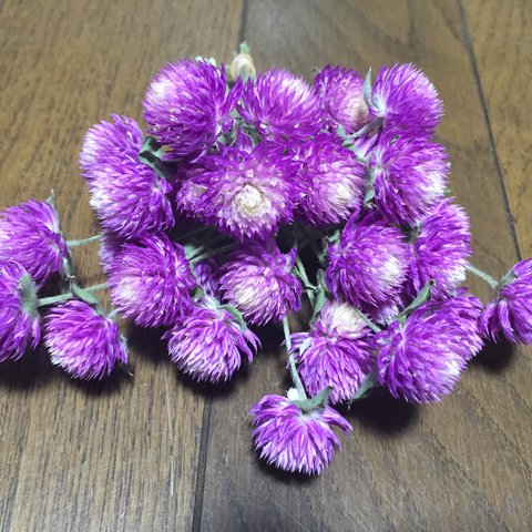 macoronが作った晩秋の枝付き千日紅30本「薄紫×ミルク」