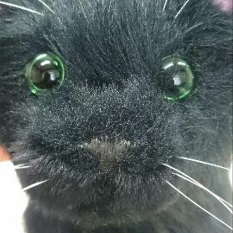 黒猫　ぬいぐるみ