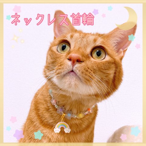 猫の首輪🐈カラフルお花ビーズ✨ネックレス首輪♡虹チャーム🌈
