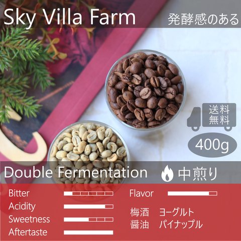 中国 雲南 天空農園 400g(100g×4個) 大容量 スペシャルティ 珍しい 超個性的なコーヒー