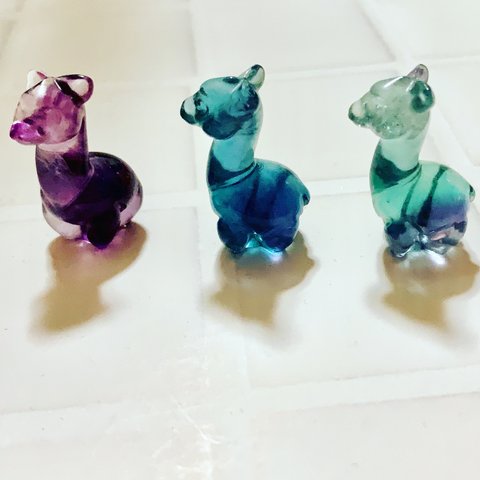 アルパカ🦙🦙　フローライト