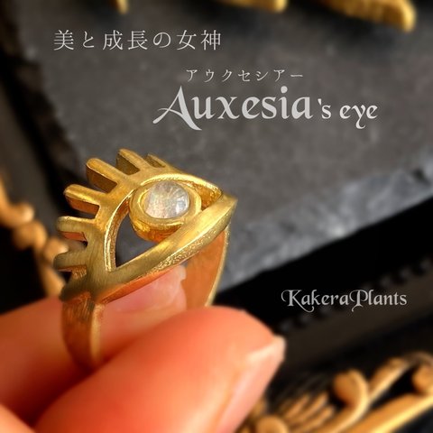 アウクセシアーの瞳【開眼】Open eye Ring "Labradorite"