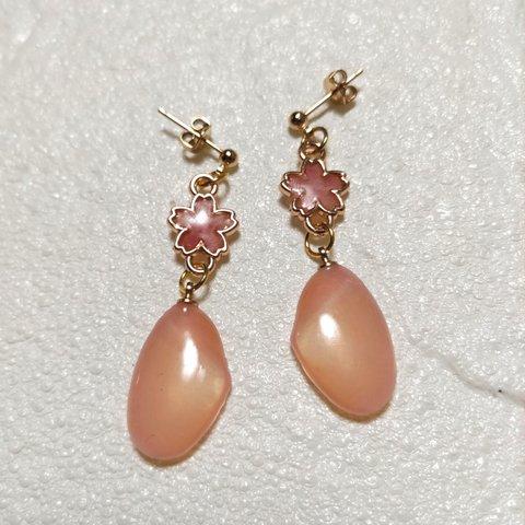 桜🌸咲く桜貝のピアス