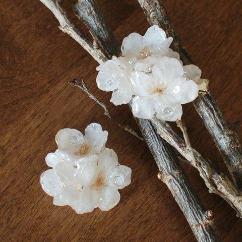 ジルコニアの水玉煌めく朝露ソメイヨシノ・桜（本物）〜ヘアクリップ