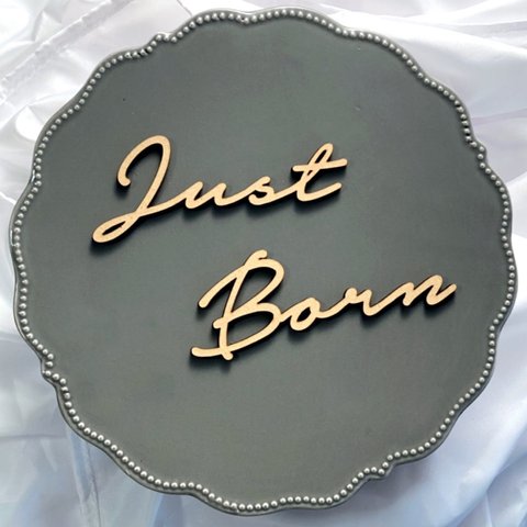 送料込❤︎木製バナー Just Born メジャーフォント