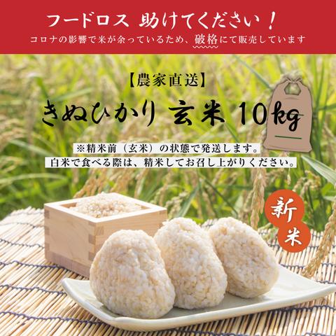 国産玄米10kg（精米前） 【フードロス】三重県産 新米きぬひかり 【在庫限り】