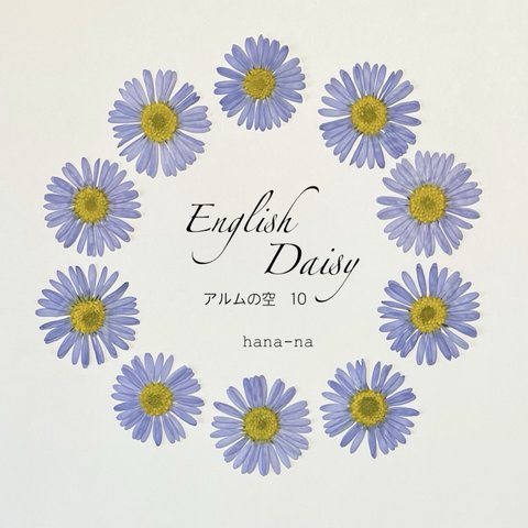 🎵English  Daisy "アルムの空" 10 ＊ 押し花