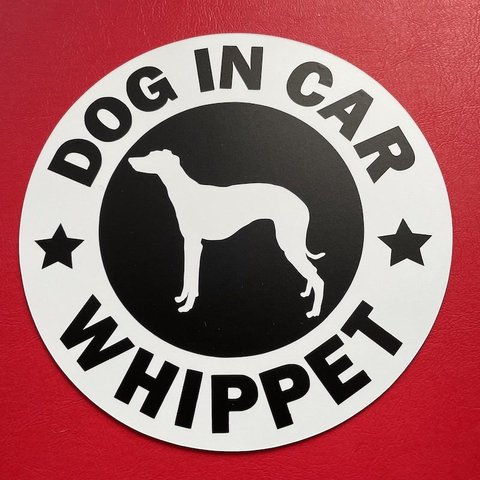 犬（ウィペット）whippet　マグネット ステッカー　防水　車用