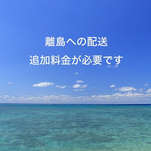 離島料金　一律　1,000円